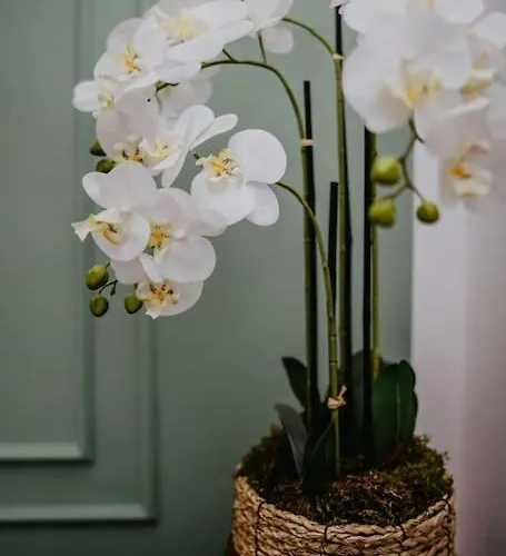 Charmante An Der Feingiesserei * Spremberg